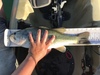 57eb76c1 0c94 40eb aec5 94e4188c2341 thumb