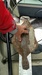 Img 20180721 143000351 top thumb