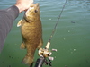 Trinity twenty reel thumb
