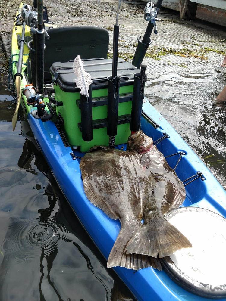 Butts on yak