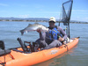 Striper29pt5 thumb