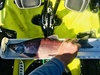 Bc97a90c 4554 40b2 90b9 d2e9da88cac2 thumb