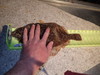 Pb120009 thumb