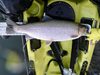 Ny10lb26.75inchrbt thumb