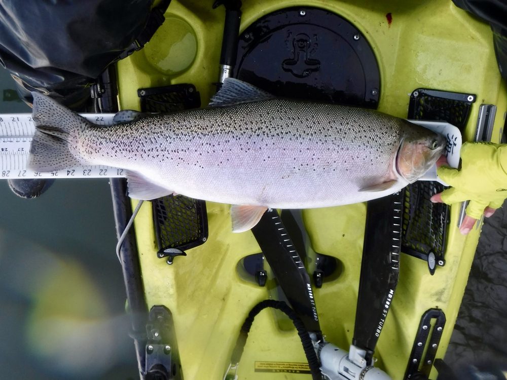 Ny10lb26.75inchrbt