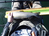 Cbaf74f3 2204 4bbe b514 6d195008c29a thumb