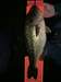 Fb img 1548375473183 thumb