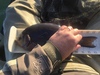 986daec4 06cf 4e1a a97b c59e9c759171 thumb