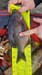 9fbf9eaa e2f3 4bc7 9e63 7784eb6774d3 thumb
