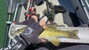 20190420 142501 thumb