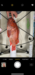 B6b814f4 c6f6 4bce ae98 c53a1d318abe thumb