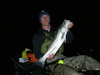 Moonlightstriper3 thumb