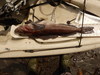 Ling  25.25  scove thumb