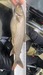 D5ae0fb9 f672 464b 889a e345865b22ae thumb