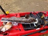 Lingcod thumb