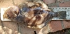 20191008 235850 thumb