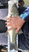 357bcd4f 0924 4fdd 97cc d5d394641306 thumb