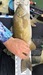 66eaaed2 e491 438a 85f9 0ec687a52b26 thumb