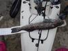 Rockfish  31.25  7 25 20 thumb