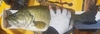 20200728 214810 thumb