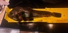 20201205 220721 thumb