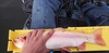 20201123 165408 thumb