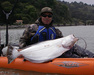 Halibut38inotw thumb