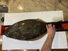 Fullsizeoutput 2933 thumb