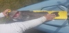 20210403 145144 thumb