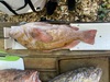 Rockfish 17 oc 4 4 4 21 thumb
