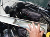 Rainbow trout  16 in  4 7 21 thumb