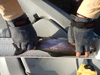 Rainbow trout  4 14 21  17.50 thumb