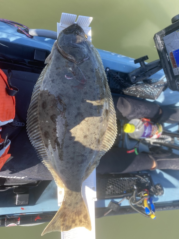Halibut 28 5 8 21