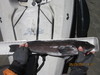 Lingcod  5 23 21  25.25 thumb