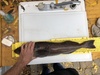 190375eb 6d99 4865 9d24 855b2674a936 thumb