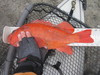 Verm  7 21 22  19.50 thumb