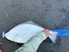 Fullsizeoutput 3127 thumb