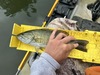 X9uvag6otrodjnsusd34kg thumb