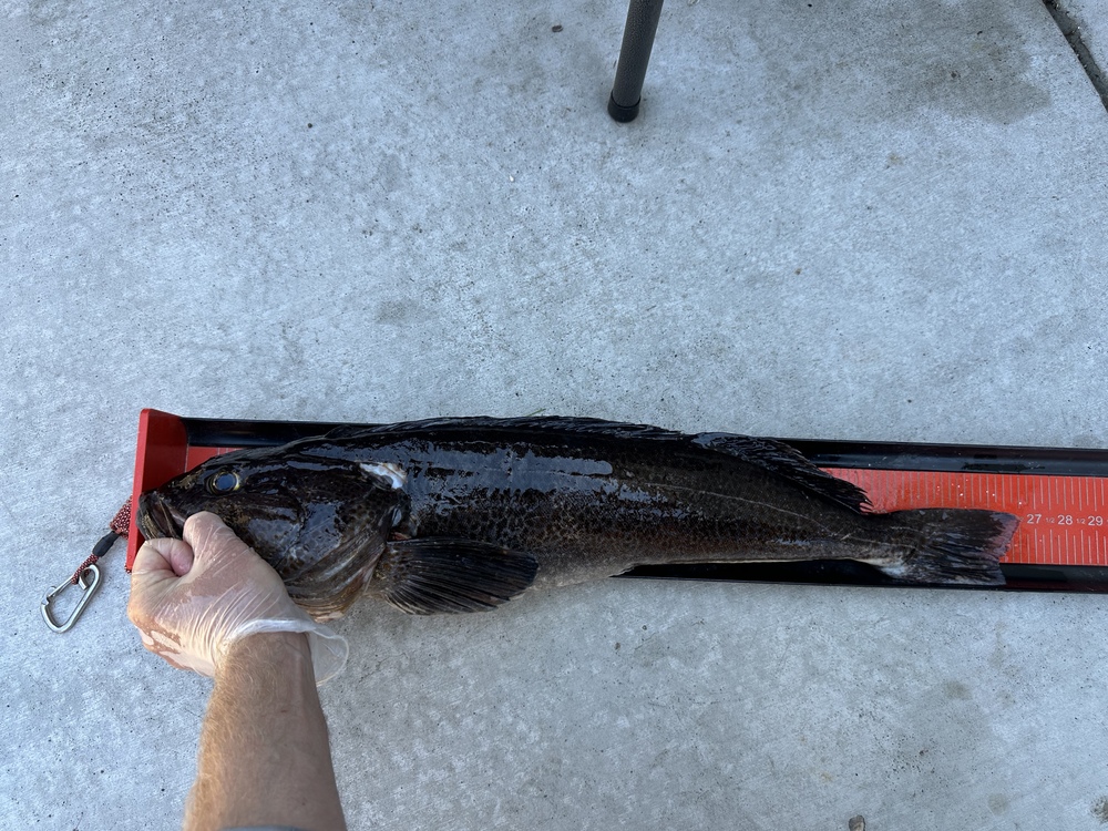 Fullsizeoutput 334e