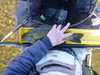 P1120211 thumb