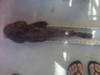 Th img00023 thumb