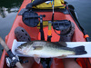 Lmb18m thumb