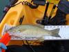 Smallie thumb