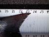 3 28 striper thumb