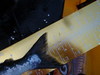 Aoty 2010 022 thumb
