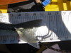 Fish pics 2010 225 thumb