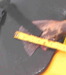 Dsc07274tailshot thumb