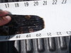 P8140853 thumb