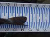 Pa170180  small  thumb