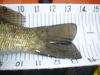 Smallie 2 thumb
